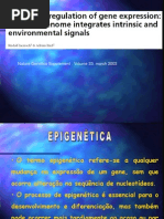 Epigenética