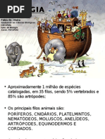 Introdução à Zoologia, Poríferos e Cnidários