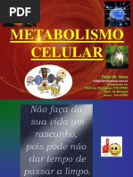 Metabolismo Celular (Completo)