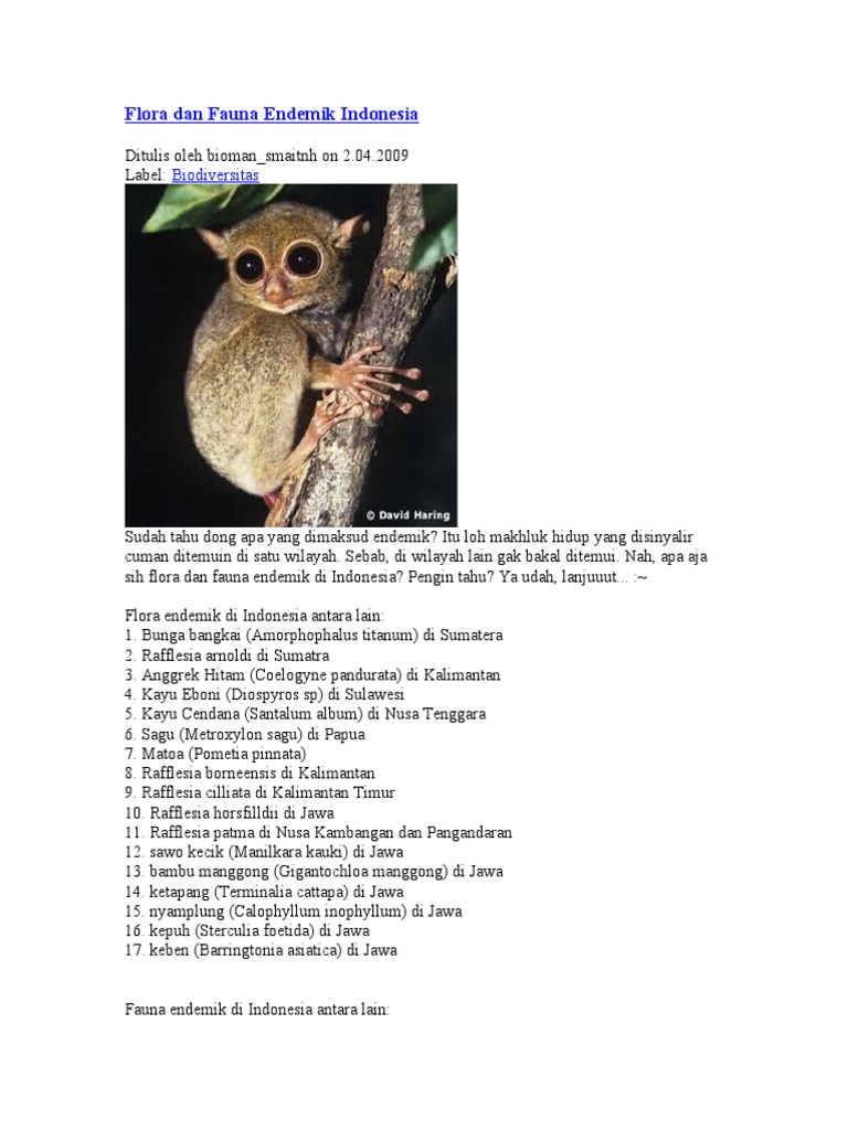 Unduh 6400 Gambar Flora Dan Fauna Endemik Indonesia Paling Bagus Gratis HD