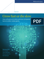 Grow Fast or Die Slow: How Software and Online-Services Companies Become Billion-Dollar Giants