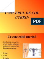 Cancerul de Col Uterin