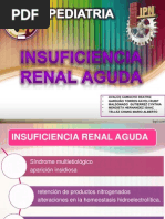 3insuficienciarenalaguda-130716213143-phpapp01