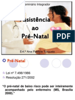 Seminário Integrador Pré-Natal