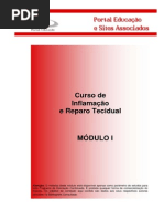 Inflamação e Reparo Tecidual
