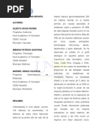 Trabajo Colaborativo Nro. 002