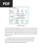 Download Teori Lock and Key by Sania Rahawarin SN228914426 doc pdf