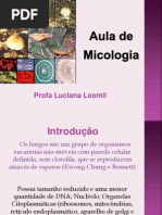 14-Aula de Micologia