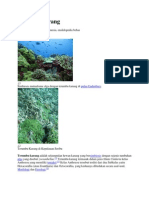 Download Terumbu karang by Anna SkullHong ChullyHeenim SN228932493 doc pdf