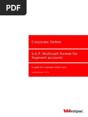 Sap Segments Export Format Comma Separated Values File Format