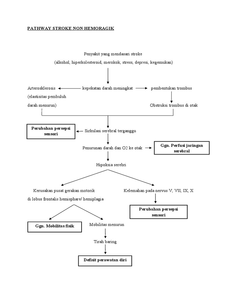 Pathway Stroke Non Hemoragik