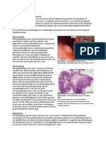 Pathologie HC 6