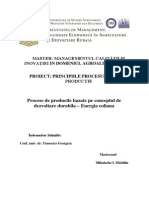 Proiect Principiile Procesului de Productie