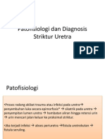 LO2Patofisiologi Dan Diagnosis Striktur Uretra