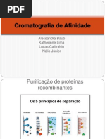 Cromatografia de Afinidade (1)
