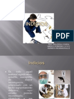 Indicios 1