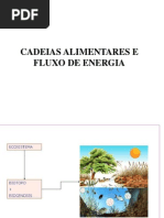 Cadeias Alimentares e Fluxo de Energia