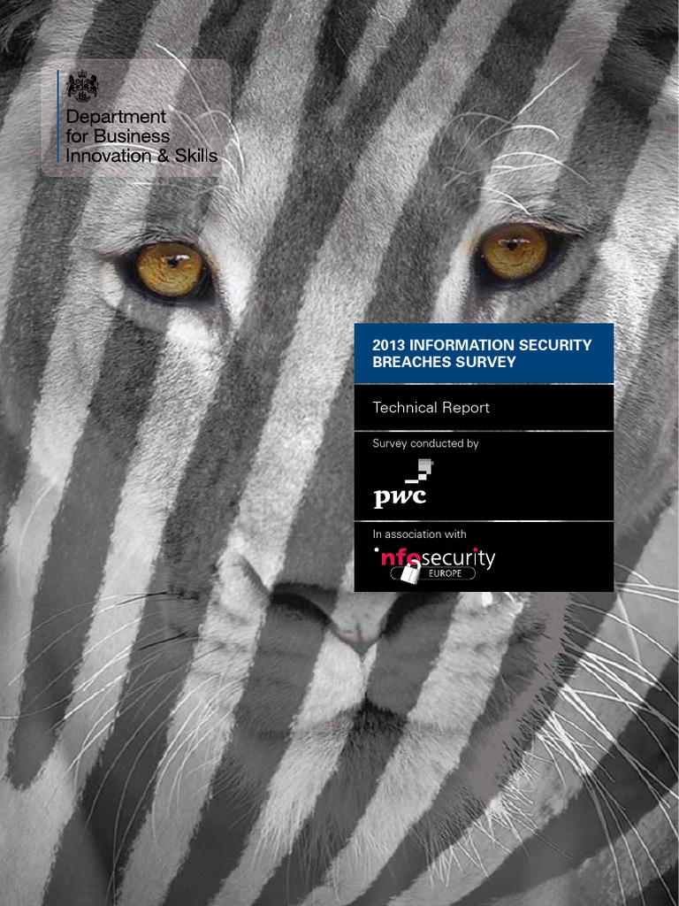 Cyber Security 2013 Technical Report PDF | PDF | Computer Security ...