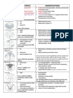 Disease Destroys Manifestations: Spinothalamic Tract (STT) Contralateral