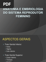 01- Anatomia e Embriologia Do Sistema Reprodutor Feminino