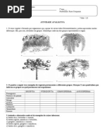 Atividade Avaliativa 7º Ano C