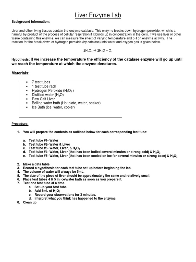 My Liver Enzyme Lab 2013 2014 PDF Catalase Peroxide