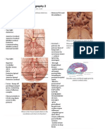 Brain Topography 2