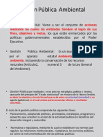 Gestión Publica Clase2013-2