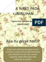 Gerak Nasti Pada Tumbuhan