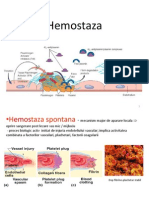 Hemostaza 2014