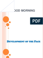 Development of The Face 1