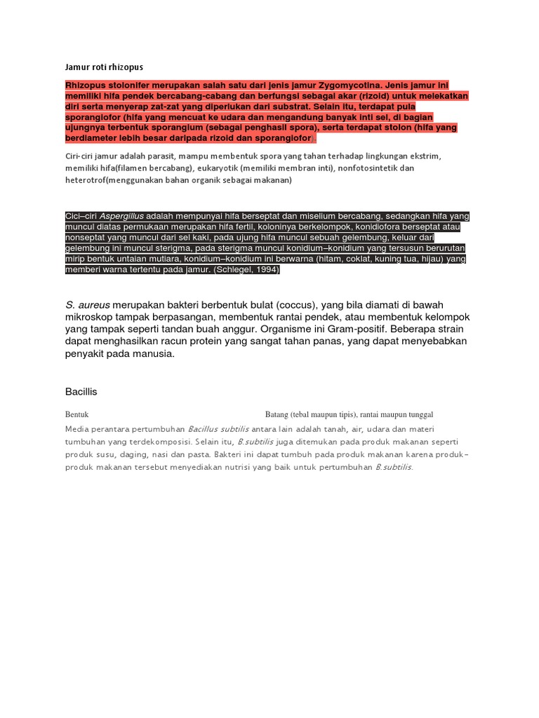 Jamur Roti Rhizopus | PDF | Kesehatan Holistik | Sains & Matematika
