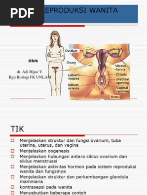 Busty styuardessalar bilan jinsiy aloqa video