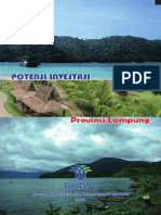 Potensi Investasi Provinsi Lampung 2011