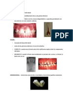 Anomalías dentales y orales más comunes