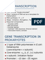Gene Transcription 1