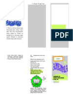 Leaflet PKG