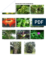 Download 980 Koleksi Gambar Flora Asiatis Australis Dan Peralihan Paling Baru 