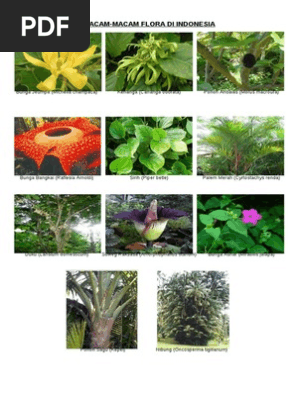 Unduh 9800 Gambar Flora Dan Fauna Asiatis Paling Bagus HD