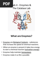 Cheeto Calorimetry Lab Experiment | PDF | Calorie | Food Energy