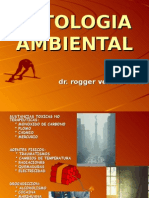 TS13 - Patologia Ambiental RVR