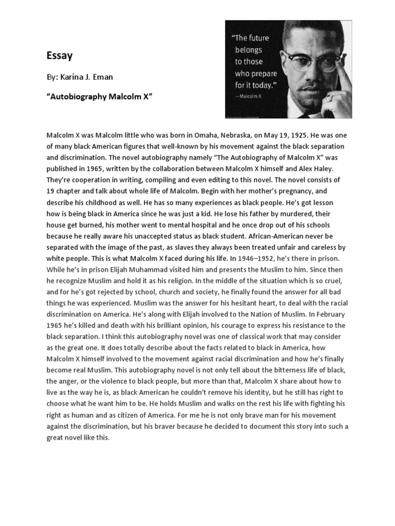 malcolm x essay examples