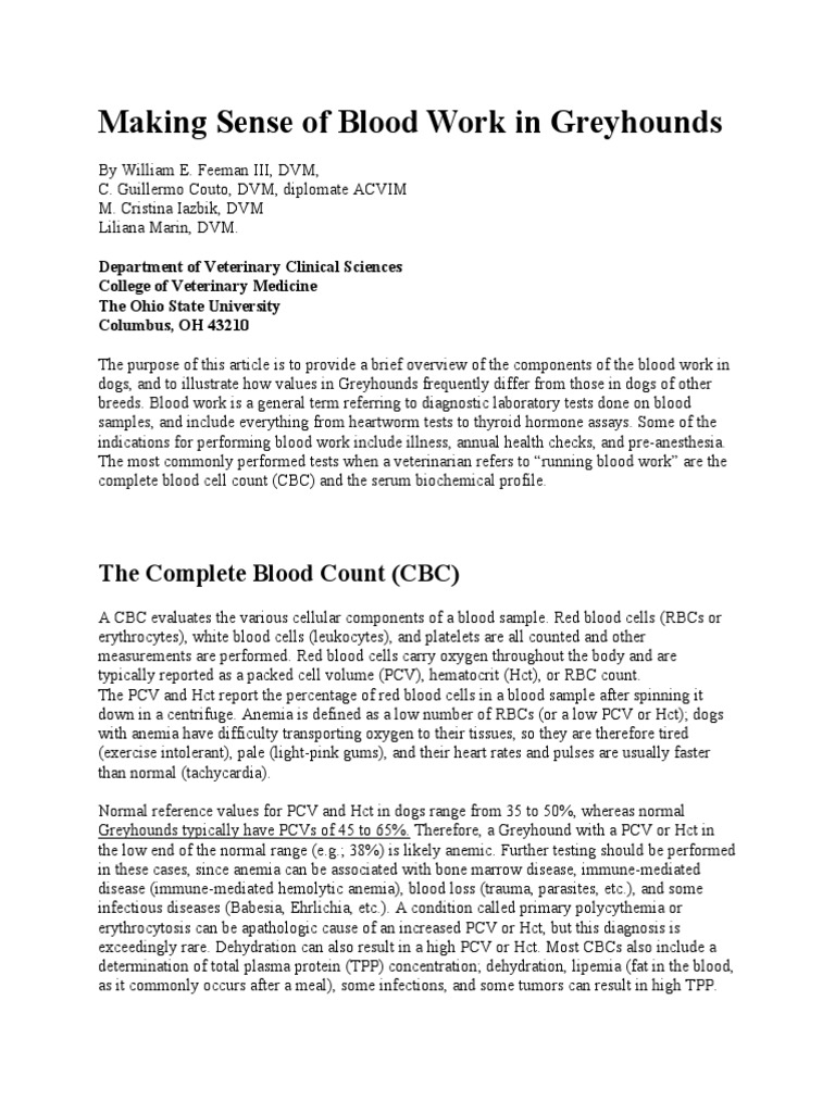 Making Sense of Blood Work in Greyhounds PDF White Blood Cell