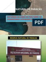 Reserva Paracas