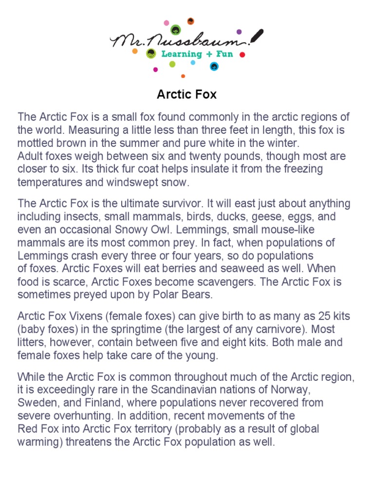Arctic Fox | PDF | Arctic | Fauna