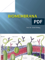 biomemabranas (1)