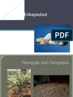 Teknologi Enkapsulasi2