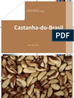 Castanha Do Brasil