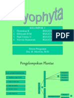 Bryophyta - Hepaticopsida