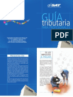 GUIA_PARA_PROFESIONALES.pdf